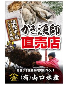 【発送時期が選べる】魚介類 牡蠣 / 山口水産の能登かき / 殻付き半缶[殻付き約35～40個]◇ 石川県 七尾市 能登 ※2026年1月中旬～5月中旬頃に順次発送予定 ※離島への配送不可