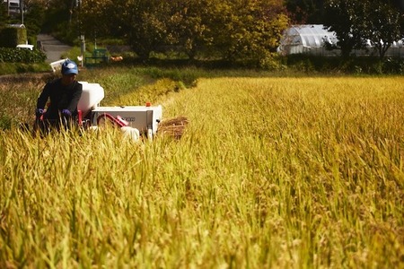 奈良のお米：冷めても美味しいヒノヒカリ玄米10kg　35-035