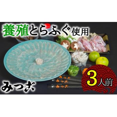 ふるさと納税 臼杵市 鮮度が命!みつごのとらふぐセット(3人前)[養殖1kgオーバー活魚使用][冷蔵]