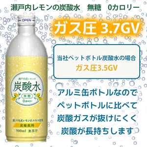 炭酸水 定期便 12ヶ月 レモン 500ml×24本 缶 ボトル缶 12回 お届け 定期 お楽しみ 兵庫県 福崎町 ソーダ 瀬戸内産 レモンエキス 純水 ソーダ割 ドリンク ボトル 缶