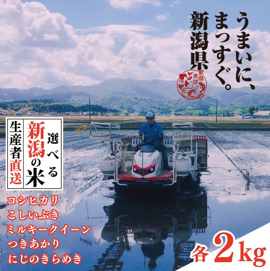 【ふるさと納税】 先行予約 令和7年産 コシヒカリ 2kg 選べる 5品種 新米 白米 米 こしひかり こしいぶき ミルキークイーン つきあかり にじのきらめき こめ ごはん おにぎり お弁当 特別栽培米 農家直送 産地直送 姉崎農園 新潟産 新潟県 新発田市 anezaki007P