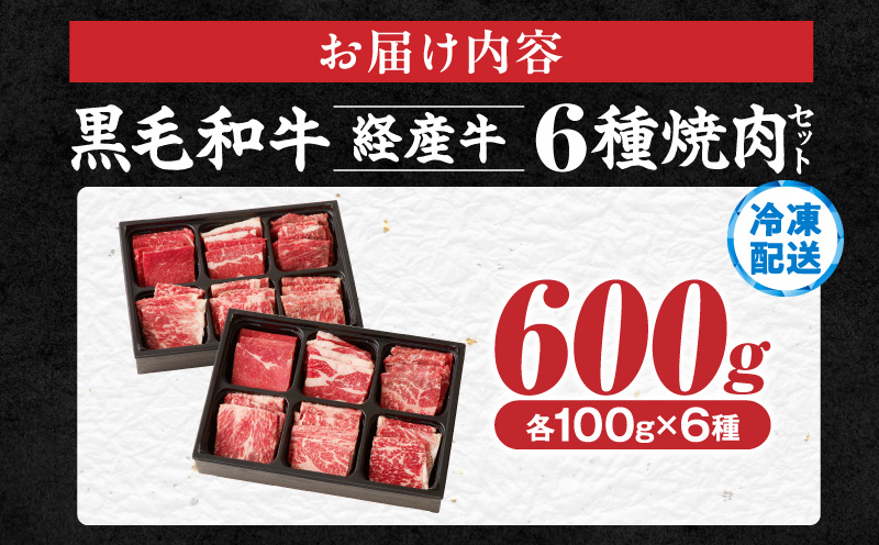 ≪訳あり≫黒毛和牛(経産牛)6種焼肉セット(合計600g)_T030-1208【肉 牛 牛肉 おかず 国産 人気 ギフト 食品 お肉 焼き肉 BBQ お土産 贈り物 送料無料 プレゼント】