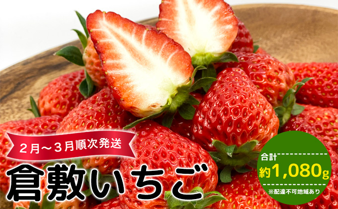 【早期受付】倉敷 いちご 数量限定 4パック箱詰め 紅ほっぺ かおり野 おまかせ 詰め合わせ 合計約1080g 岡山県産