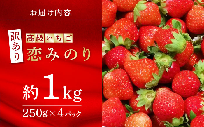 【訳あり】【先行予約】高級 いちご 恋みのり 約1000g【伊藤農園】 果物 フルーツ イチゴ いちご 苺  [ZBB011]