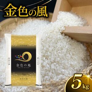 金色の風 精米 5kg 岩手県産 米 白米 こんじきのかぜ はくまい お米 コメ rice ごはん 常温 常温保存 保存 農家 農作物 栄養 夕飯 大船渡 三陸 岩手県 国産