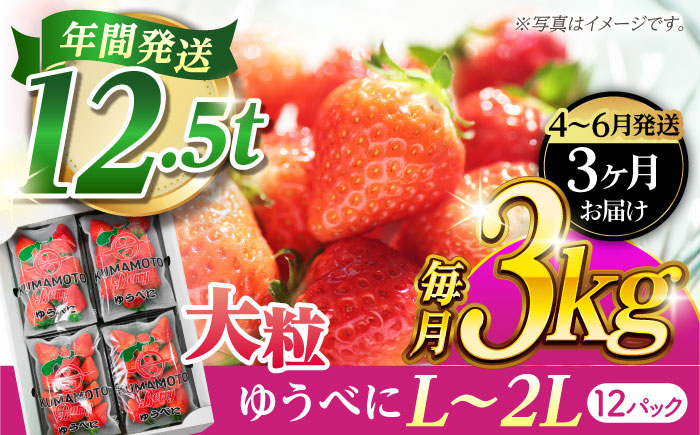 《4月より発送開始》 【3回定期便】 大粒いちご L～2L ゆうべに 3kg（12pc）【熊本ベリー】 [ZER027]