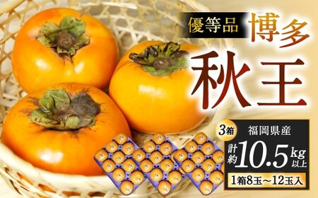 福岡県産 博多秋王【優等品】 計約10.5kg以上【約3.5kg以上（8玉～12玉入り） ×3箱】【2026年10月下旬～12月上旬発送予定】柿 かき 果物 フルーツ くだもの 先行予約
