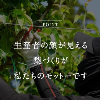 鳥取県南部町産　井田農園の二十世紀梨（3kg箱）　8月下旬～出荷予定