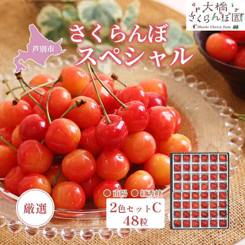 【ふるさと納税】【 先行受付 】さくらんぼ 厳選 さくらんぼスペシャル 2色C 48粒 第7回全国果樹技術・経営コンクール農林水産大臣賞受賞 南陽 紅秀峰 チェリー フルーツ 果物 旬のフルーツ 旬の果物 くだもの 北海道 芦別市　お届け：2026年7月中旬頃～