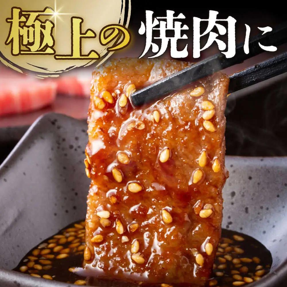 訳あり 長崎和牛 焼肉切り落とし 肩ロース・バラ 500g [DBS003] 訳アリ 牛肉