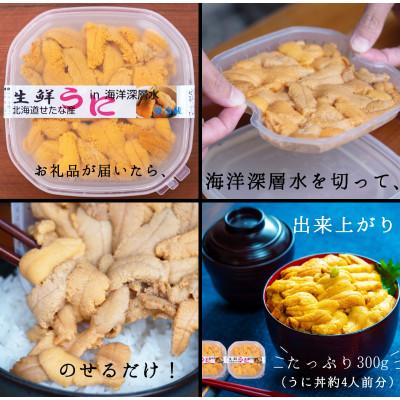 ふるさと納税 せたな町 【2025年6月下旬から順次発送】【北海道せたな町産】生鮮生うに(150g×2パック) |  | 03