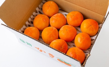 逸品富有柿 11玉から12玉 (約3kg) 【2025年11月下旬-2025年12月上旬発送予定】 柿 果物 フルーツ うきは市