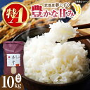【ふるさと納税】特A評価獲得 武雄市産 夢しずく 10kg（5kg×2袋） /株式会社 y's company（utsu和ya）[UDX020]