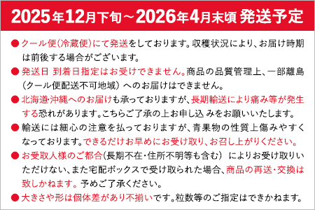あまおうと旬のいちごの食べ比べセット 約300g×2パック 紅ほっぺ 恋みのり よつぼし スターナイト 星の煌き おすすめ 福岡県 大木町 BO002【2025年12月下旬～2026年4月末頃にかけて