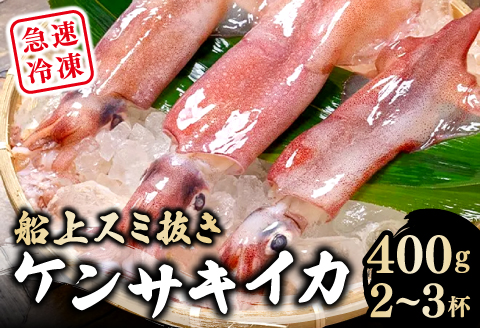 船上スミ抜きケンサキイカ 400g（2～3杯）【いか 剣先いか 400g 烏賊 イカ ケンサキイカ 贅沢 刺身 おかず おつまみ お酒 冷凍 地物 天然物 新鮮 真空パック 旨い 海産物 魚介類 獲れたて】