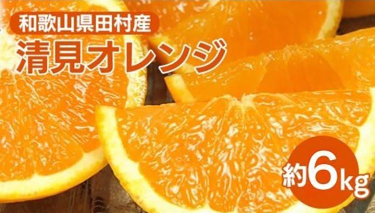 
                  清見オレンジ[約6kg]和歌山県湯浅町田村産 春みかん【果実サイズおまかせ】｜和歌山県産 柑橘 フルーツ 紀伊国屋文左衛門本舗
                