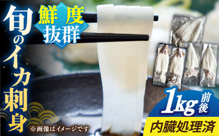 【お中元】【旬のイカ】 イカ 刺身 1kg [JAQ027] イカ刺し