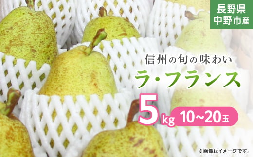 
                  長野県中野市産　旬の洋梨ラ・フランス5kg10～20玉【1515046】
                