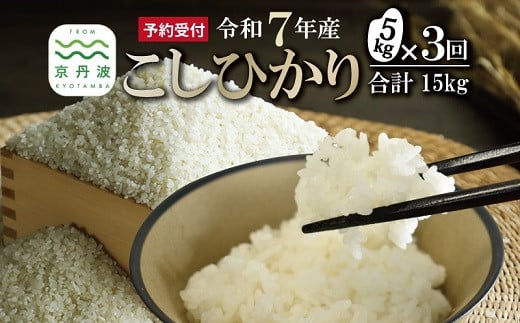 
            【3回定期便】 《新米先行予約》 こしひかり 和知のお米 5kg 定期便 3回 3カ月 合計15kg 京都 丹波 京丹波町産 米 コメ コシヒカリ 精米 産地直送 ※北海道・東北・沖縄・その他離島は配送不可 [042MTK001R]
          