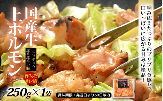国産 お楽しみ 焼肉セット 合計1.4kg以上【牛肉ロース 味付け肉 牛ホルモン 豚肉 鶏肉 小分け 便利 BBQセット】 [e03-b004]