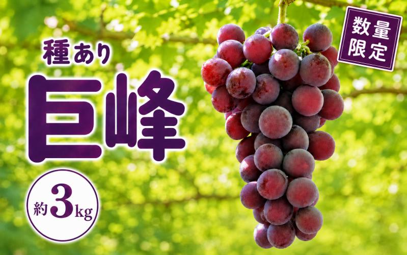 
                  巨峰 約3kg 種あり / ぶどう ブドウ 葡萄 数量限定 フルーツ 果物 くだもの 国産 奈良県産 産地直送 旬の果物 大容量 甘い 濃厚 ジューシー お取り寄せ 人気 おすすめ ギフト 贈答 プレゼント 家庭用 デザート 季節限定 期間限定 秋の味覚 旬の味覚 国産ぶどう 奈良ぶどう 果汁たっぷり 高級ぶどう 新鮮 産直 ご褒美 お祝い 敬老の日 奈良県 御所市【simo0002】
                