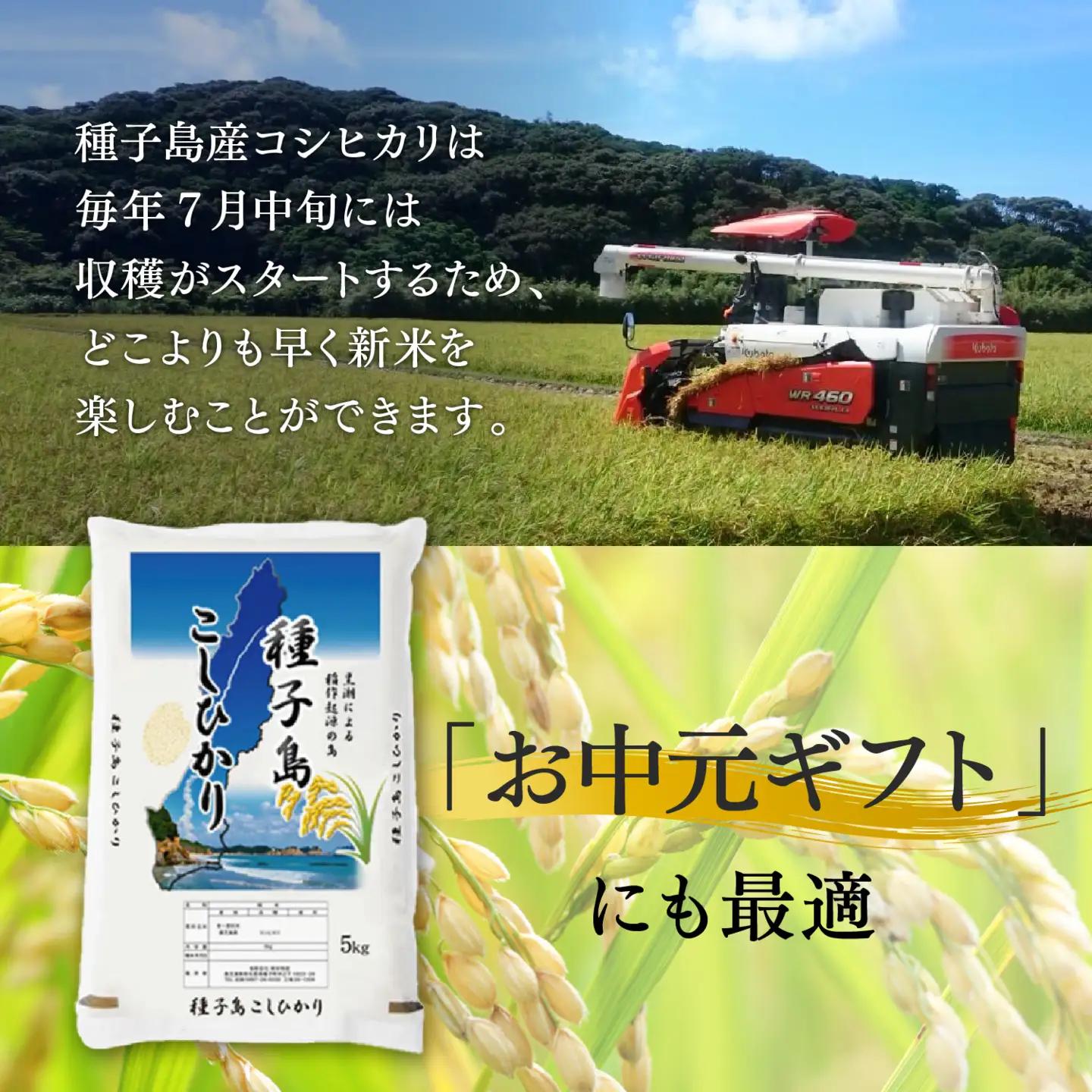 《令和8年産米 新米》 種子島産コシヒカリ10kg（5kg×2）【新栄物産】