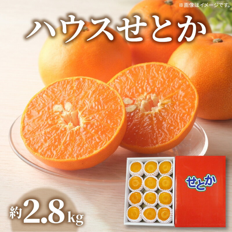 【ふるさと納税】ハウスせとか　約2.8kg【2027年1月下旬～2027年2月下旬配送】 | みかん オレンジ 柔らかい ジューシー 甘い 濃厚 プレゼント ハウス栽培 柑橘 果実 果物 果汁 フルーツ 薄皮 食品 果肉 自宅用 デザート 贈り物 ギフト