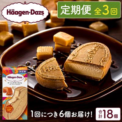 ふるさと納税 浜中町 &lt;全3回定期便・連続&gt;ハーゲンダッツ『クリスピーサンドセット(ザ・リッチキャラメル味)計18個』