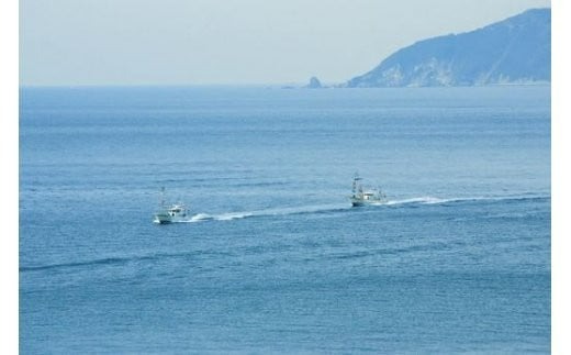 【自宅で新鮮しらす丼】釜あげしらす食堂セット◇ IKTB026 