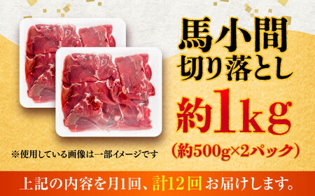 【全12回定期便】馬小間切り落とし 約1kg (約500g × 2パック) / 馬肉 こま切れ きりおとし 切落とし 馬小間 熊本 馬肉 切り落とし ヘルシー【五右衛門フーズ】[BHCY040]