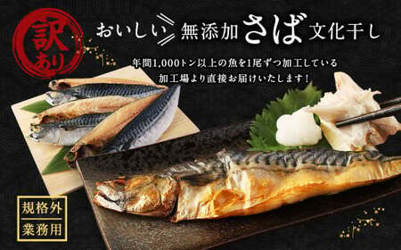 【訳あり規格外】 業務用 無添加さば文化干し 1.5kg 鯖 さば 干物 魚