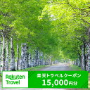 【ふるさと納税】北海道音更町の対象施設で使える楽天トラベルクーポン 寄附額50,000円 旅行 観光 トラベル レジャー 体験 温泉 宿泊 ホテル 旅館 予約 国内 十勝温泉 モール温泉 チケット クーポン 宿泊券 宿泊補助券 金券 北海道 音更町