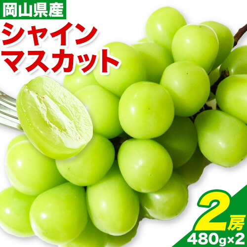 【先行予約】シャインマスカット 2房 480g × 2 有限会社ホーティカルチャー神島《7月中旬-8月上旬頃出荷》岡山県 浅口市 ぶどう マスカット フルーツ 旬 果物 国産 岡山県産 送料無料 冷蔵【配送不可地域あり】