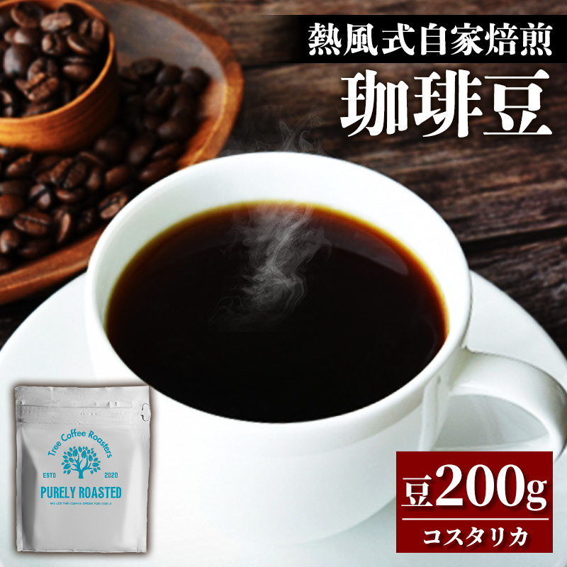 【完全受注焙煎】Tree Coffee Roasters「コスタリカ タラス ハニー ハイロースト」 200g - コーヒー 豆 こだわり 自家焙煎 沖縄県 八重瀬町