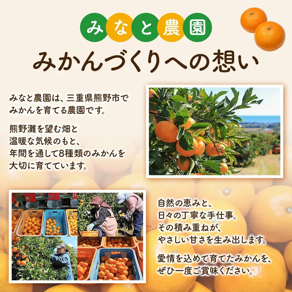 みかん 味3号 温州みかん 約10kg【mntf0006】