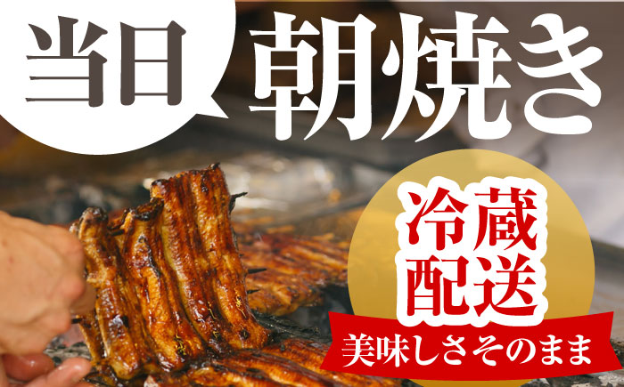 【3回定期便】高知県産 朝焼きうなぎ蒲焼 2尾セット 【株式会社 四国健商】 [ATAF086]