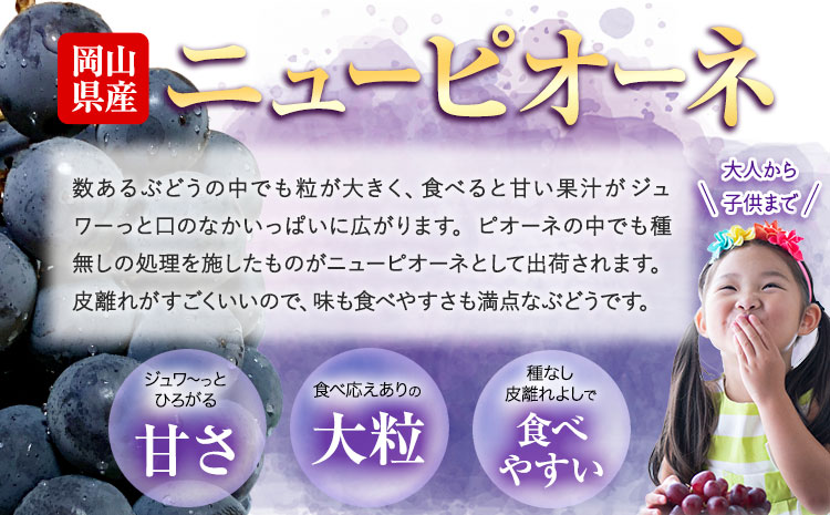 【先行予約】ぶどう ニューピオーネ約600g 1房 株式会社藍《9月中旬-10月下旬頃出荷》 岡山県 浅口市 岡山県産 ぶどう フルーツ 果物 くだもの ピオーネ 送料無料 【配送不可地域あり】
