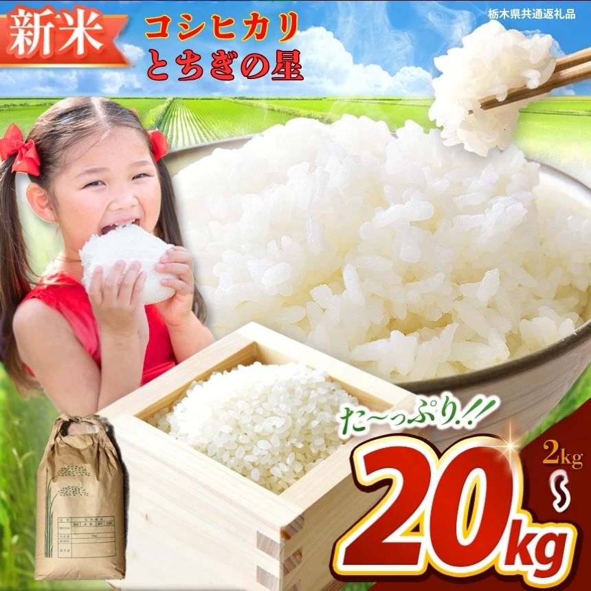 【ふるさと納税】栃木県共通返礼品 楽天限定 新米 数量 限定 選べる コシヒカリ こしひかり とちぎの星 精米 美味しい お米 白米 玄米 無洗米 数量限定 令和7年度 栃木県産 | 送料無料 栃木県 那珂川町 期間限定 美味しい