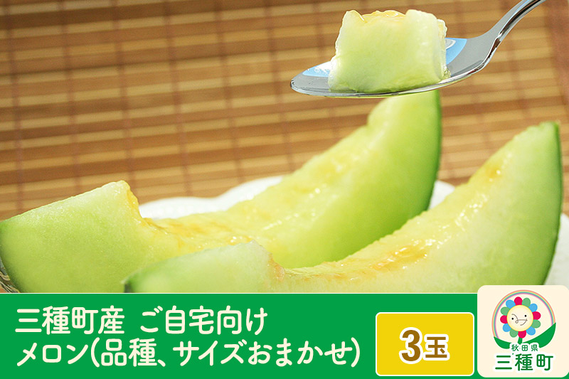 
三種町産 ご自宅向け メロン(品種、サイズおまかせ) 3個 お届け：2023年7月中旬～2023年8月中旬頃まで
