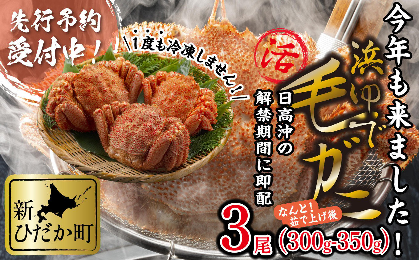 
            ＜2025年1月中旬から順次発送＞ 北海道産 浜ゆで 毛ガニ 3尾 計 900g 以上 ＜ 予約商品 ＞ 北海道  冷蔵 毛蟹 毛がに けがに かに 蟹 カニ かに味噌 カニ味噌 新鮮 旬 ボイル 浜茹で 海鮮 海産物 新鮮 旬 魚介  蟹味噌 みそ  新ひだか町
          