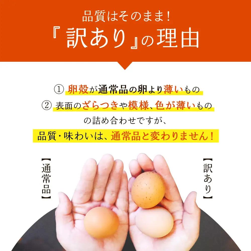卵【わけあり】霧島山麓育ち こだわり卵 康卵 MSサイズ 計 50個（45個 + 割れ保証 5個）たまご 玉子 タマゴ 卵焼き 玉子焼き たまご焼き 生卵 鶏卵 平飼い 放し飼い たまごかけごはん 国