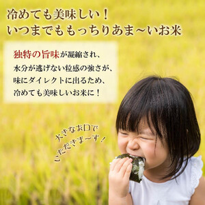 【定期便・全3回】矢野川のお米　ヒノヒカリ精米5kgｘ3回