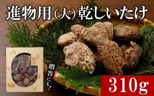 
進物用乾しいたけ310g ｜ 原木栽培 干し椎茸 乾椎茸 どんこ しいたけ きのこ 出汁 肉厚 贈答 愛媛 久万高原町　※離島への配送不可
