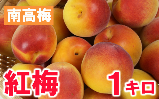
            ひらそ農園の紅梅 1kg 梅 南高梅 紅梅 梅干し 梅酒 梅酒用 梅干 梅シロップ 梅ジャム 1キロ 数量限定 先行予約 6月 ＜004-010＞
          