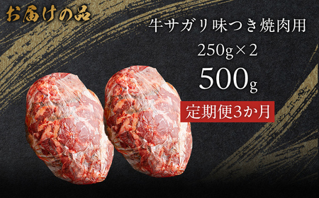 【3か月定期便】牛サガリ味つき焼肉用 500g (250g×2) MROBM025