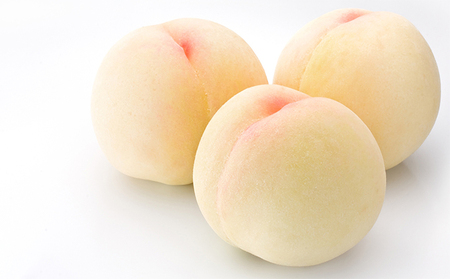 固めの 桃 先行予約 白桃 晩生種 1.5kg 5～6玉 もも モモ 果物 桃