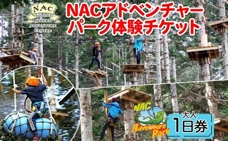 体験チケット NAC アドベンチャーパーク 大人1日券 ニセコ 体験チケット【1枚】