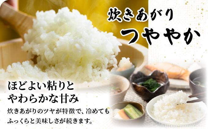 【令和7年産】福岡県産夢つくし10kg