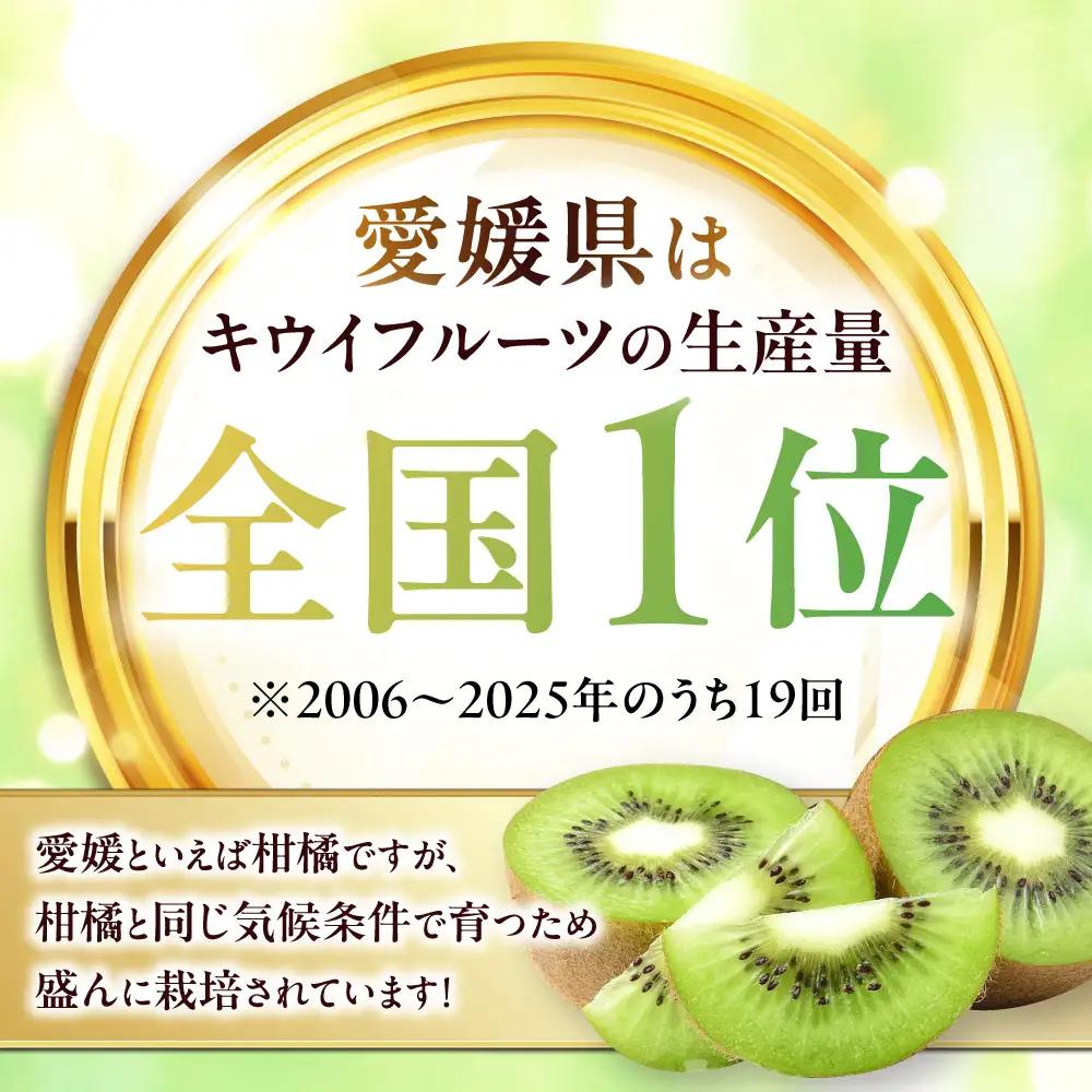 キウイ キウイフルーツ 10個-12個入り（L-3L）[AGBD009]