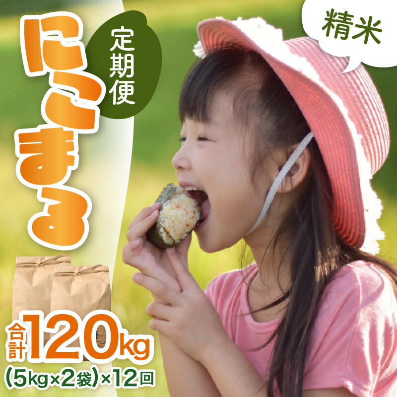 【ふるさと納税】【令和7年産】定期便《12ヶ月連続お届け》精米 にこまる 10kg （5kg×2袋）計120kg ＜低農薬栽培＞ ／ 高品質 鮮度抜群 福井県 あわら市産 ブランド米 白米 お米 米